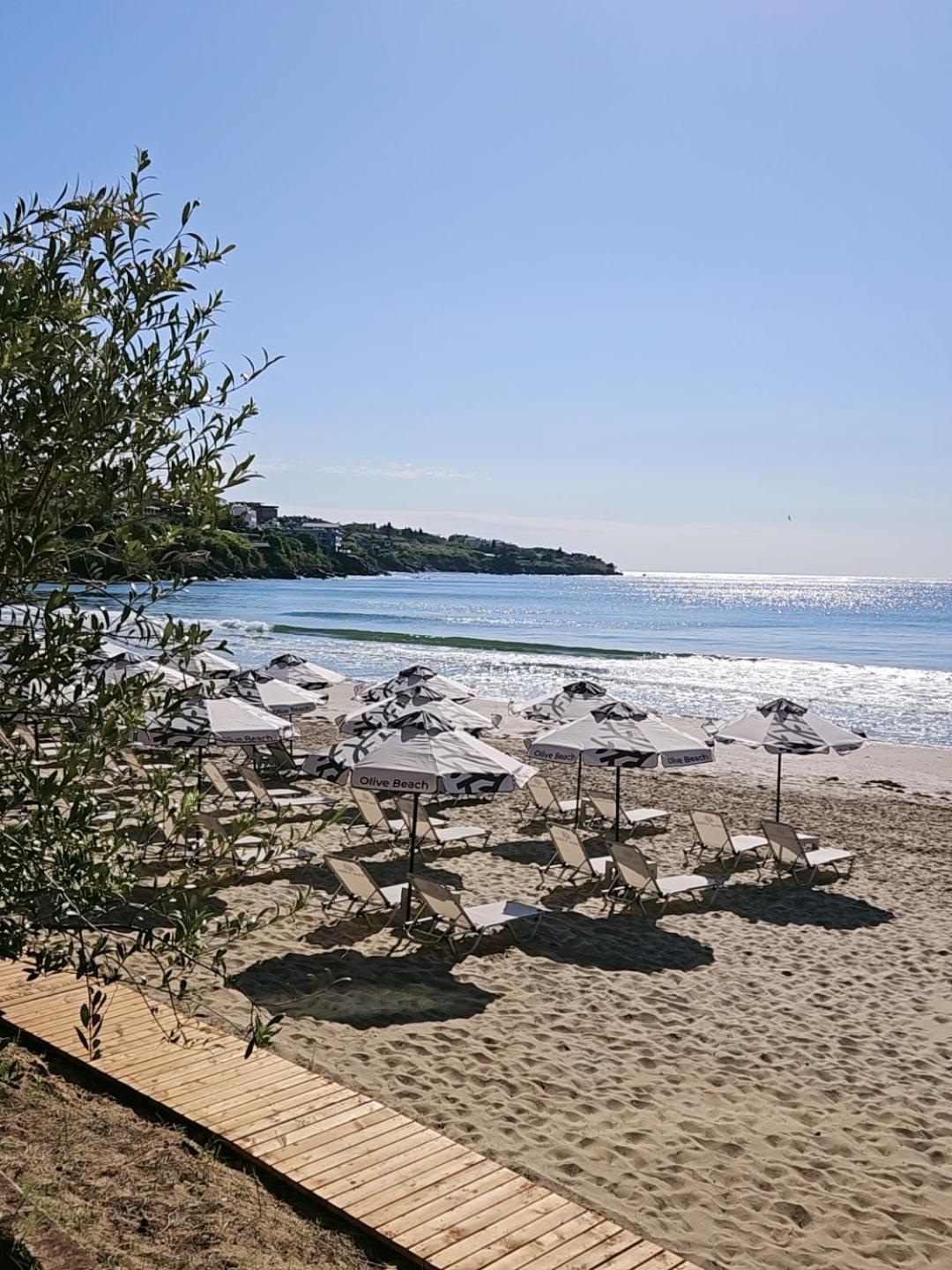 Olive Villas Beach Hotel Sozopol Exteriér fotografie