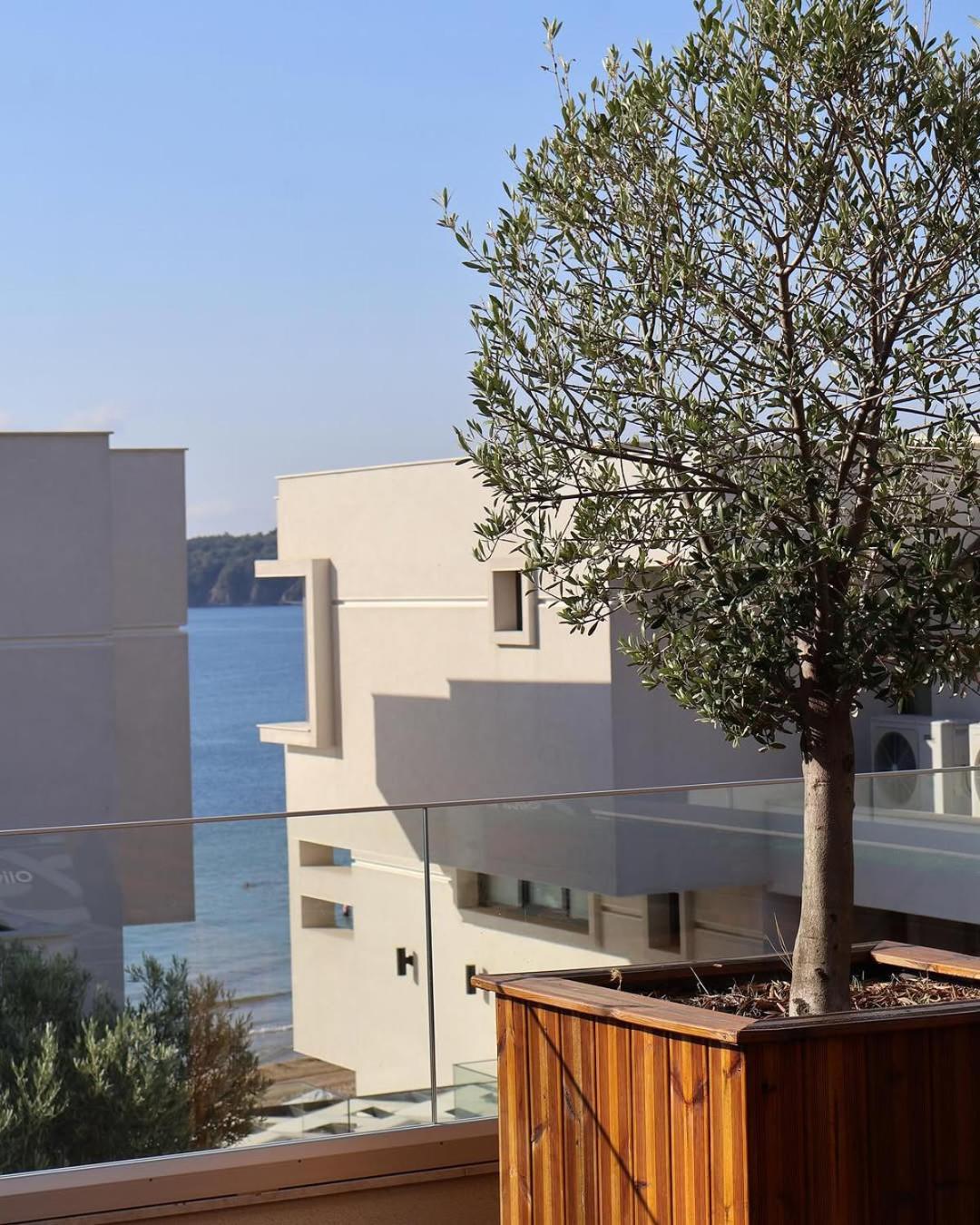 Olive Villas Beach Hotel Sozopol Exteriér fotografie